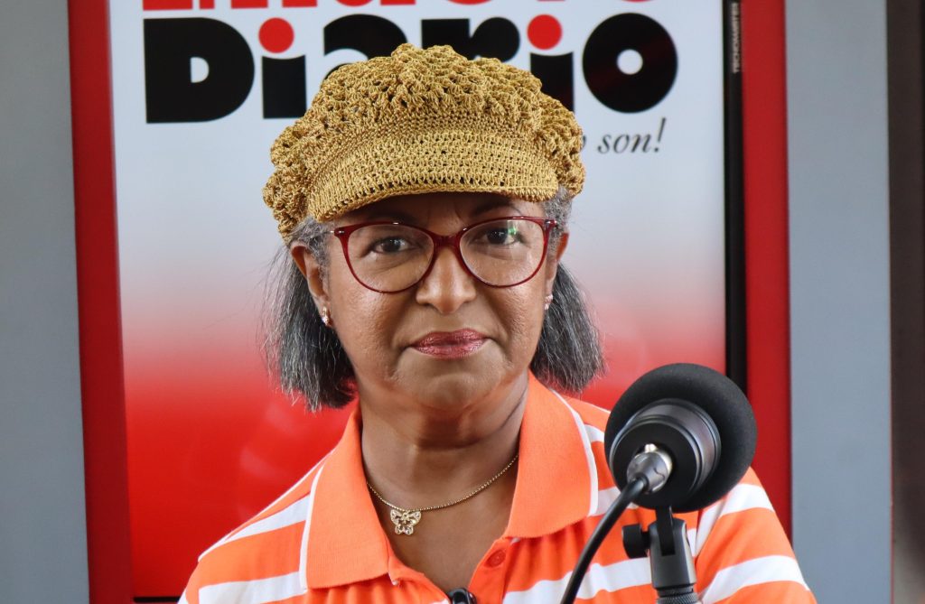 María V. Brito, propietaria de Artehelado Moca. (Foto: Abranny Arias Melo).