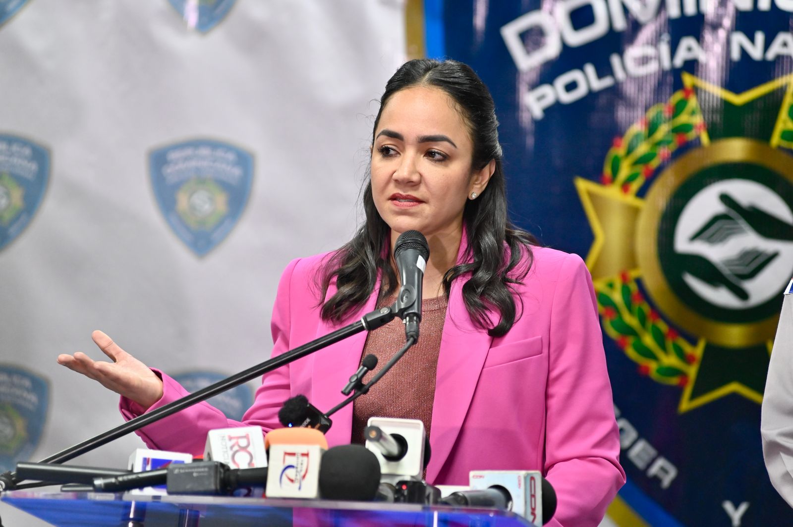 Legisladores oficialistas no ven motivos suficientes para interpelar a la ministra Faride Raful