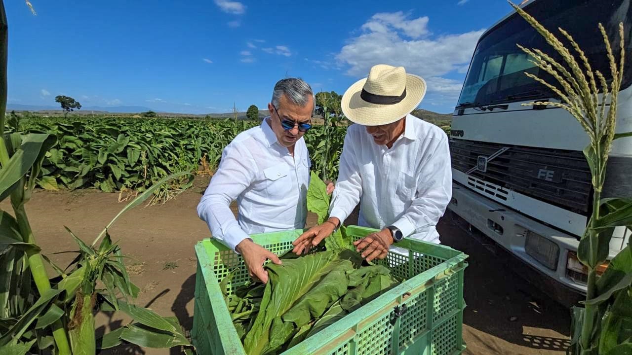 Aseguran RD ha generado más de US$1,340 MM en exportaciones de tabaco