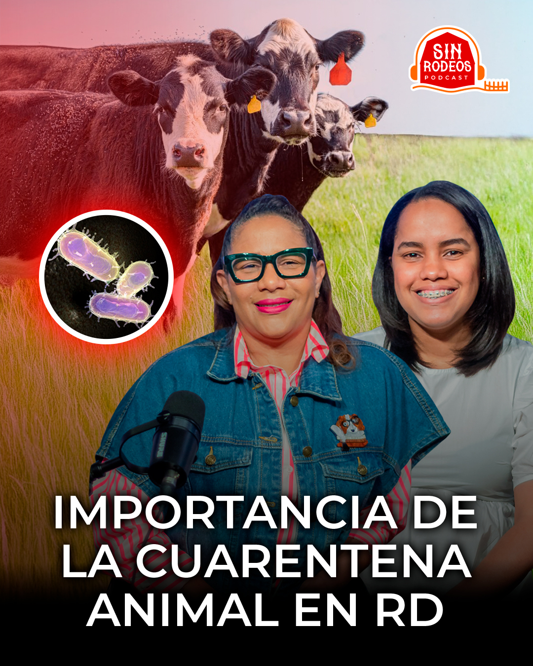 IMPORTANCIA DE LA CUARENTENA ANIMAL EN RD