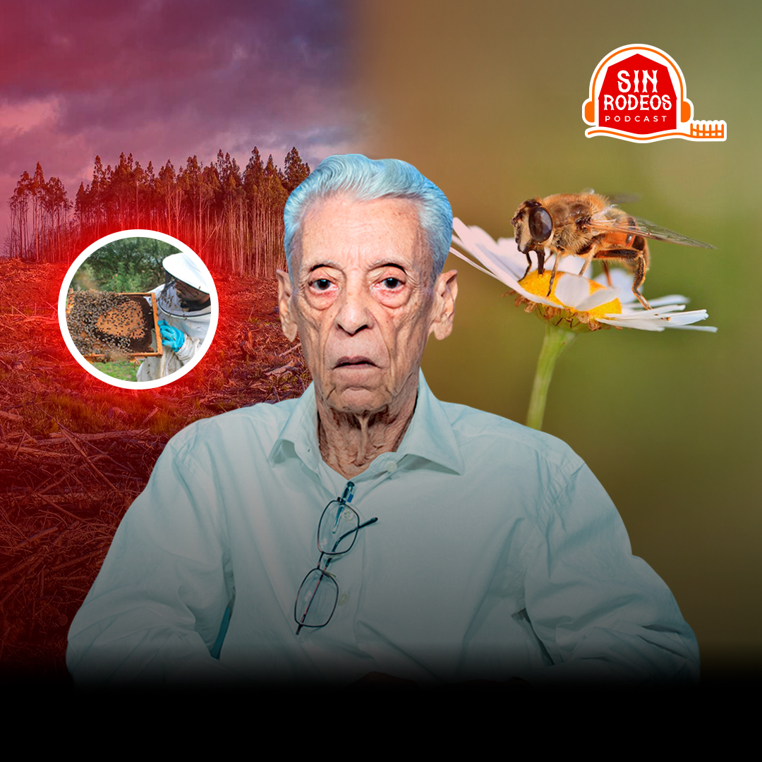 ¿PODRÍAMOS SOBREVIVIR SIN ABEJAS? LA RESPUESTA NO TE VA A GUSTAR