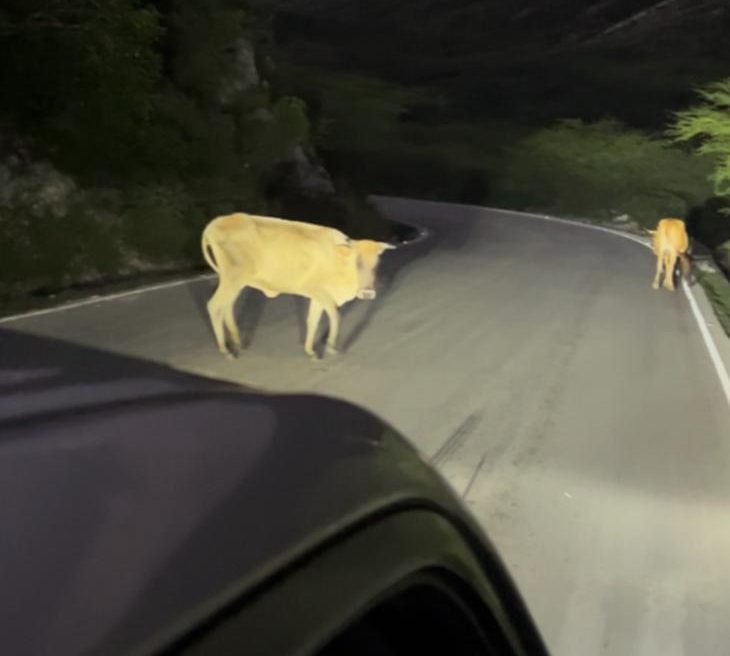 Carretera Jimaní/Foto de Rosa Galán