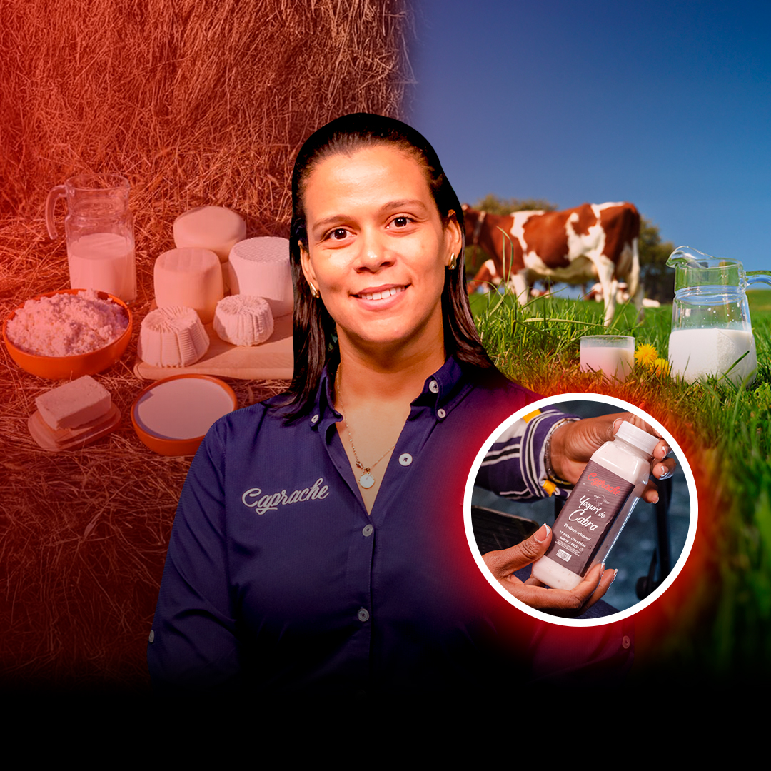 La leche de cabra se posiciona con buen pie en el mercado dominicano