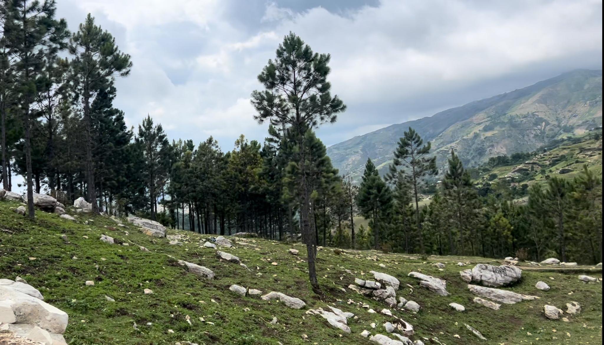 Los Pinos del Edén/ Fotos: Rosa Galán.