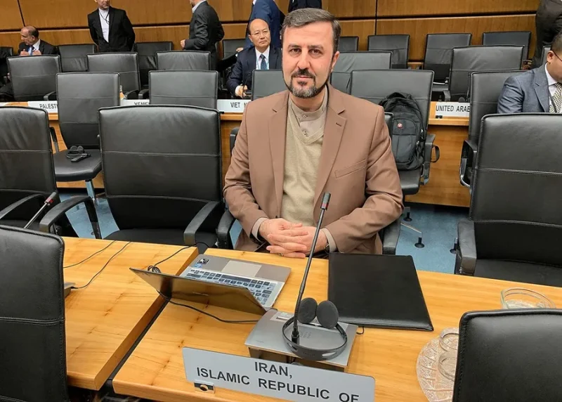 El viceministro iraní de Exteriores para Asuntos Jurídicos e Internacionales, Kazem Gharibabadi. EFE/ Jordi Kuhs