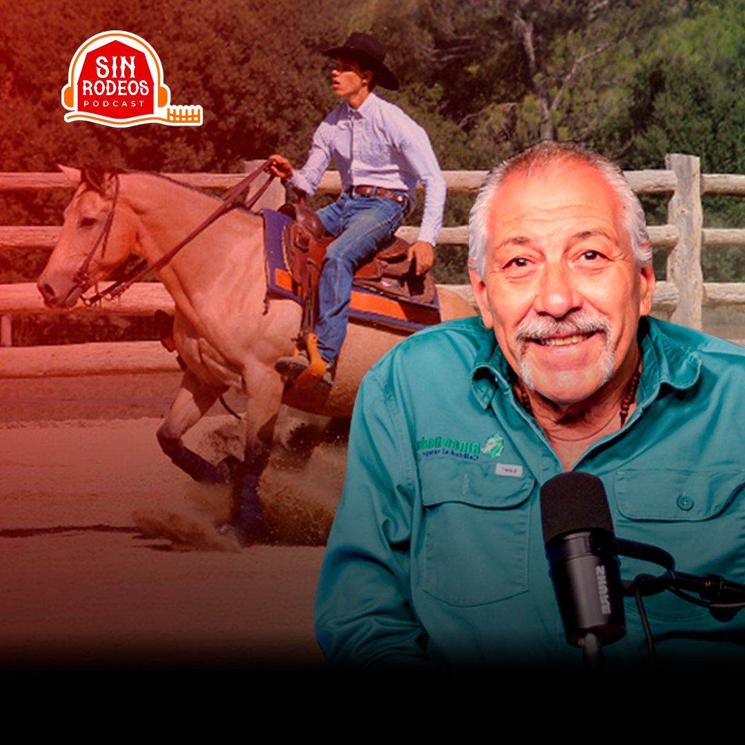 ¿CÓMO ES EL REINING DE CABALLOS EN RD?