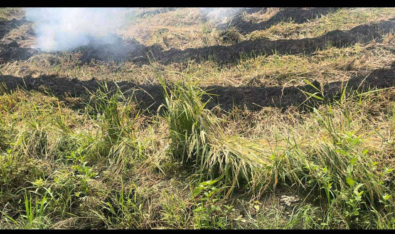 WhatsApp Image 2025-11-01 at 7.17.57 PM