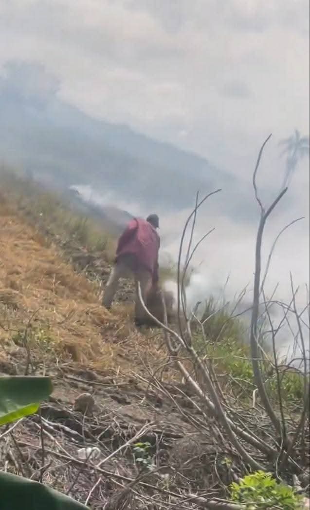 WhatsApp Image 2025-11-01 at 7.17.58 PM