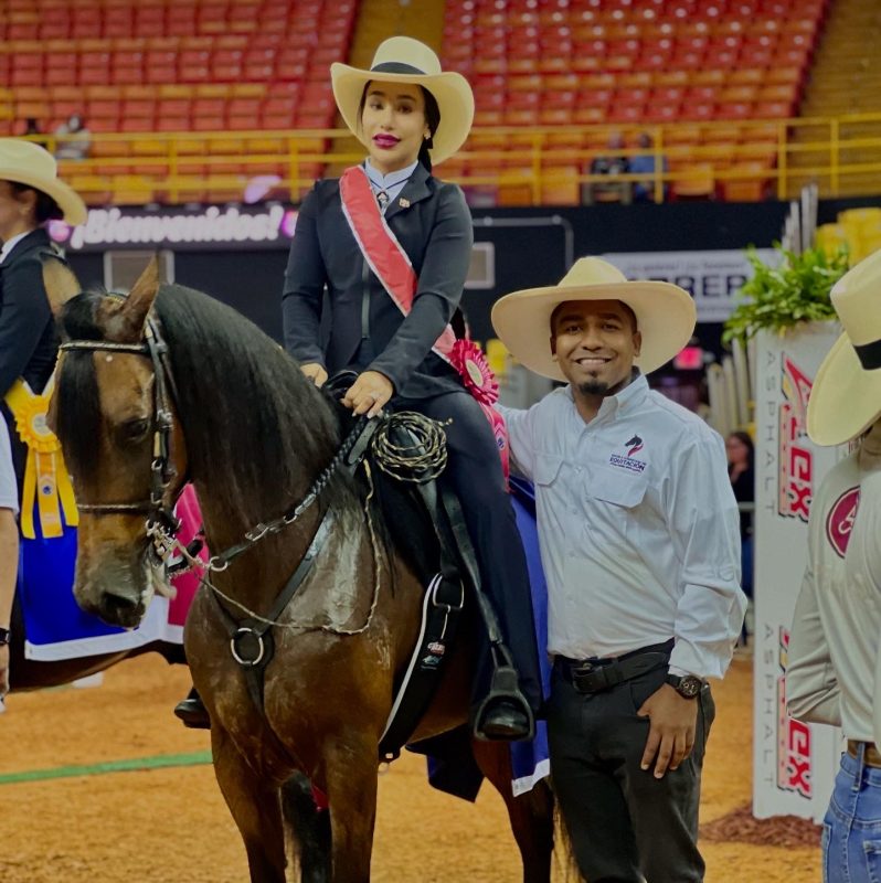 Dominicanos brillan en competencia internacional de caballos de paso en Puerto Rico