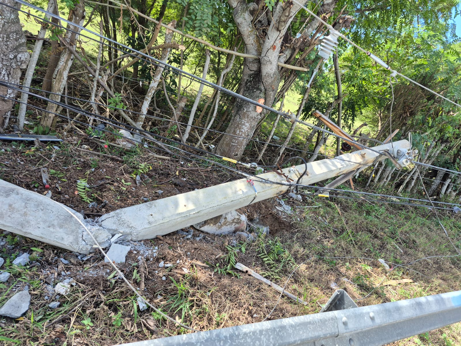 WhatsApp Image 2025-12-17 at 12.14.03 PM