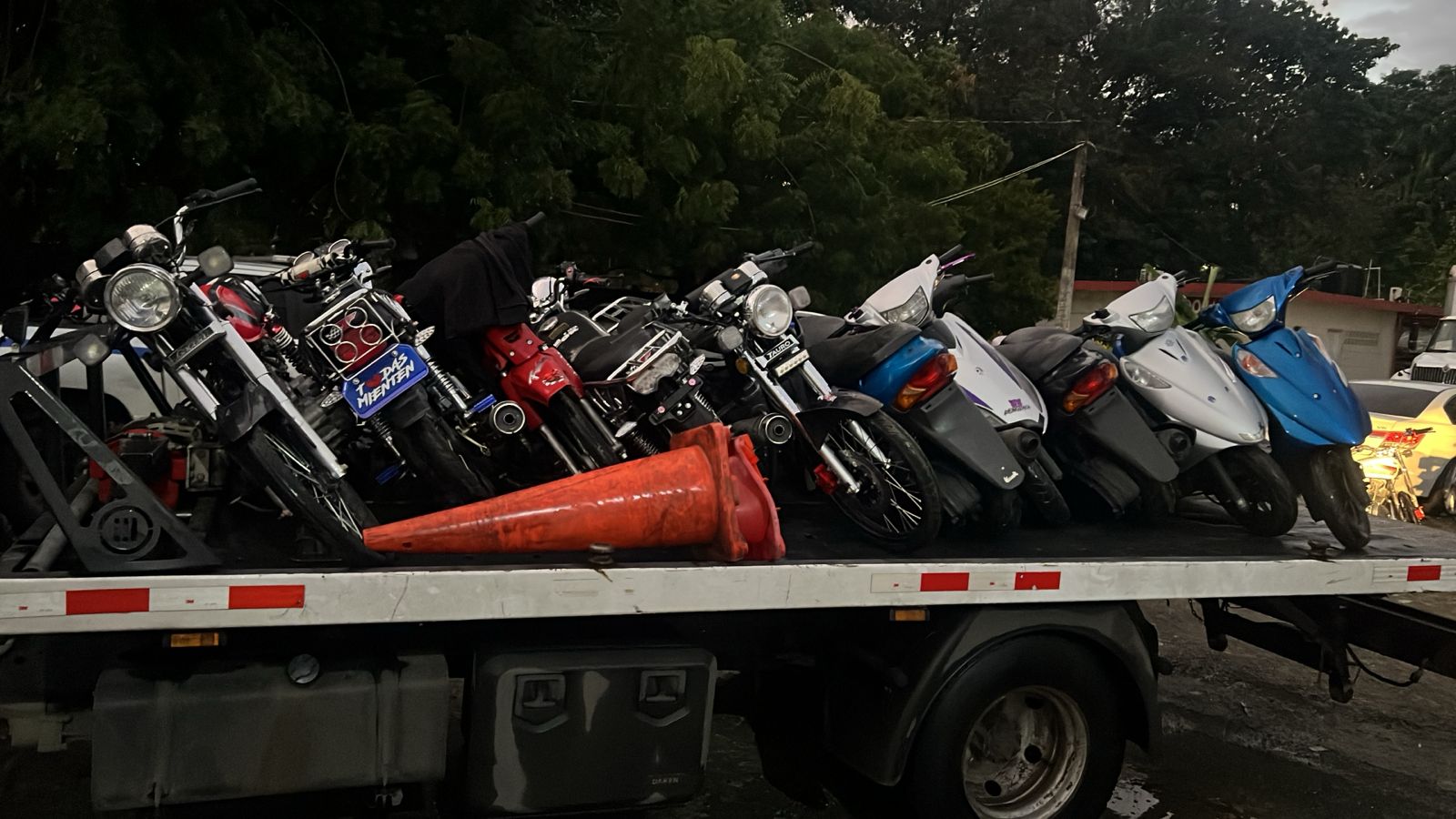 WhatsApp Image 2026-01-22 at 6.19.48 PM