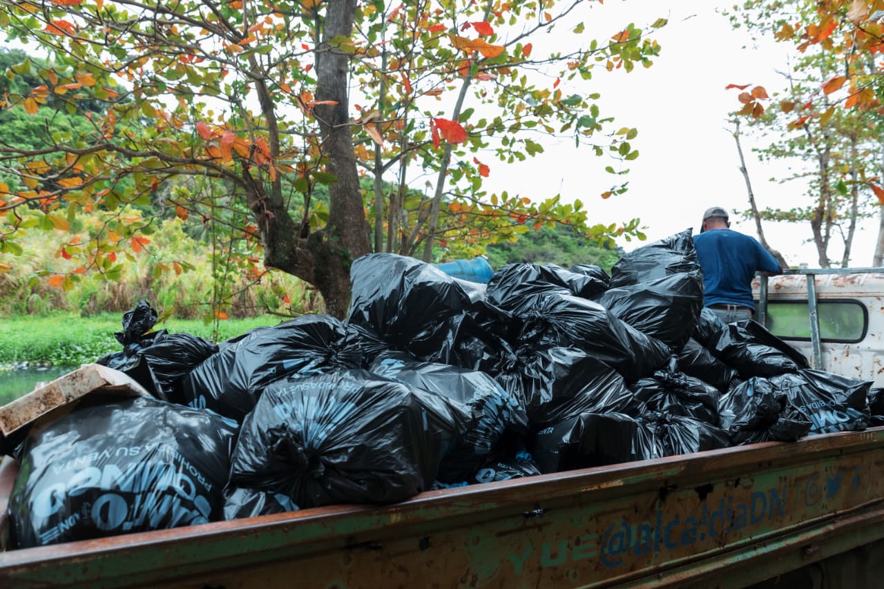 Alcaldía del DN planta 500 árboles nativos y retira 150 fundas de desechos en jornada por Día Mundial de los Humedales (3)