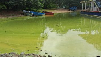 FP muestra preocupación por lo que acontece en el lago de la Presa de Hatillo