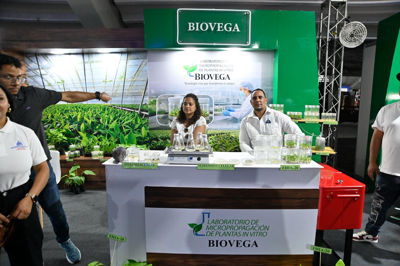 Foto: Félix Lara