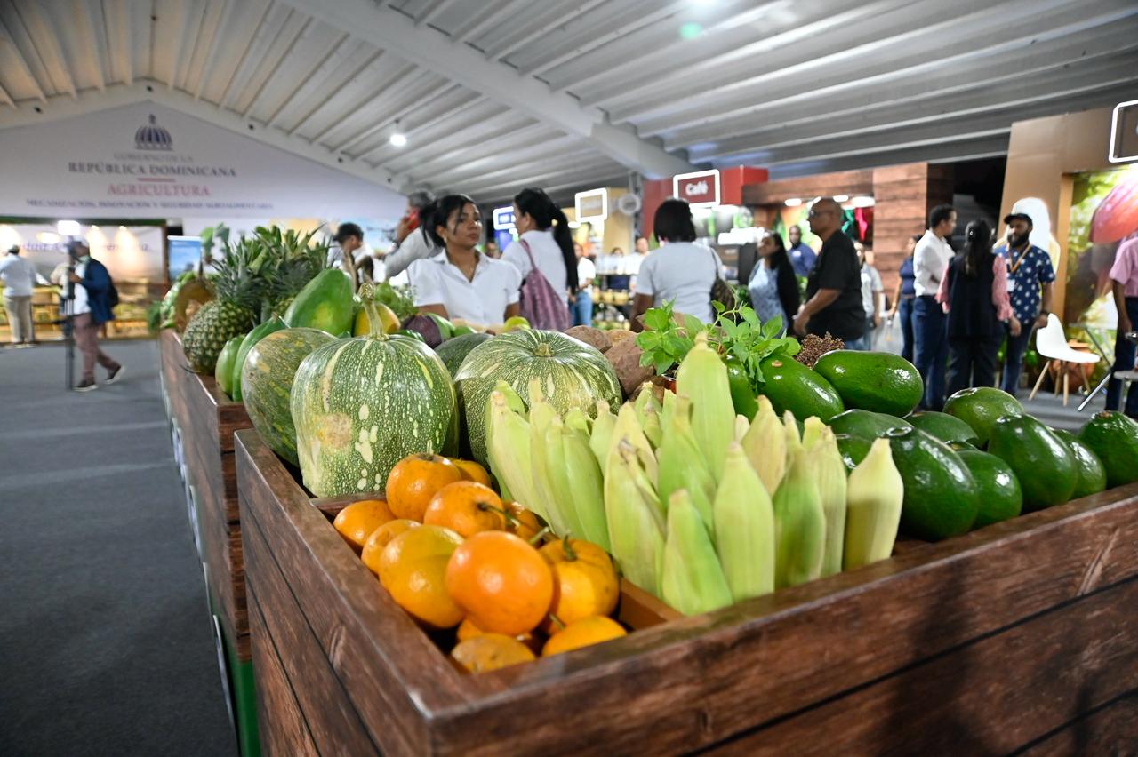 Foto: Félix Lara