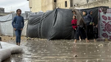 80 % de refugios en Gaza infestados de plagas