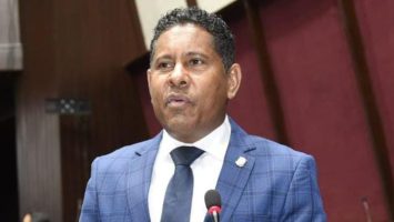 Diputado Ignacio Aracena entrega más de dos mil kits para habichuelas con dulce en SDO