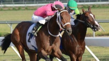 Cubrirán gastos alimentación y transporte estudiantes escuela de jinetes