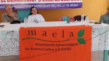 Productores agrícolas del sur, monjas y sacerdotes denuncian atropellos del CAC y anuncian protesta