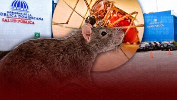 Salud Pública reporta casos de dengue, leptospirosis, malaria y aumento de enfermedades respiratorias