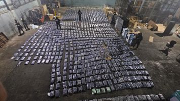 DNCD incauta 1,163 paquetes de presunta marihuana sintética en Puerto Plata