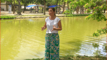 Imagen de la noticia