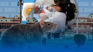 Biólogos argentinos buscarán si hay vector de hantavirus en Ushuaia