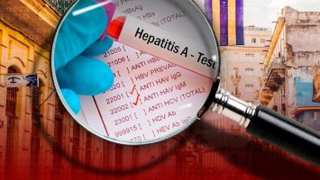 Muertes por hepatitis siguen sin bajar, en contraste con el sida o la tuberculosis, según OMS