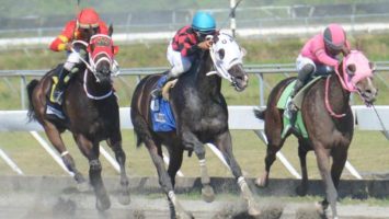 Jinete Villalobos gana en 3 carreras, el pool paga RD$2,156 en el Quinto