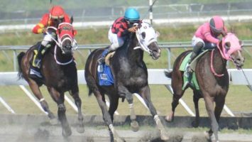 Jinete Villalobos gana en 3 carreras y el pool paga RD$2,156 en el Quinto Centenario