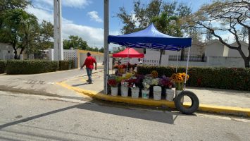Alcaldía de Santiago reubicará floristeros del cementerio Ingenio Arriba para mejorar el tránsito y el orden