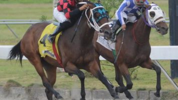 Jinete Esmerlin Justo gana dos carreras en el Quinto