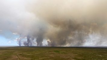 Incendio en los Everglades de Florida crece 27 veces, sin afectar por ahora áreas urbanas