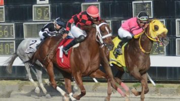 El pool paga RD$52,456.00 en el Quinto Centenario