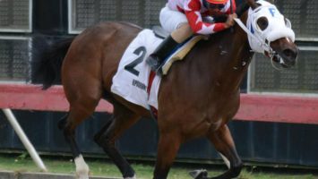 Disputarán el sábado el Clásico Sprinter Importados en el Quinto