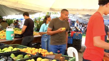Expo Mango 2026 impulsa el procesamiento de la fruta para reducir pérdidas y ampliar mercados