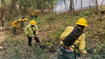 Medio Ambiente controla incendio forestal en Bonao y combate otro en Sierra de Bahoruco