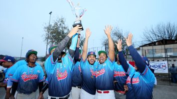 INDEX Chile reúne a la comunidad dominicana en exitoso encuentro deportivo de sóftbol