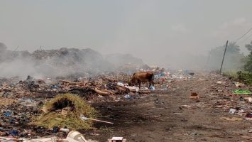 Residentes de Sánchez, Samaná, denuncian contaminación por vertedero a cielo abierto y exigen solución urgente