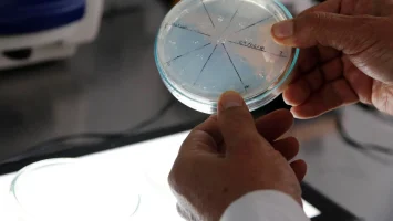 Descubren la manikomicina, un prometedor antibiótico que elimina bacterias resistentes