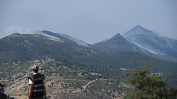 Los dos grandes incendios forestales del centro de España afectan a 45.000 hectáreas
