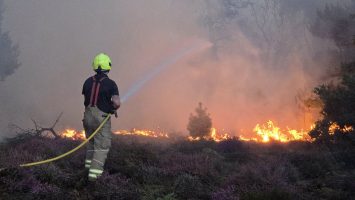 Incendio en Suffolk amenaza zona cercana a central nuclear inglesa