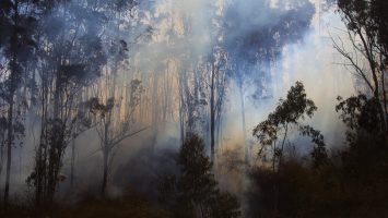 Ecuador lanza campaña nacional para prevenir incendios forestales