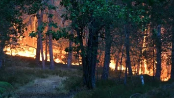 El 5 % del bosque de Fontainebleau ha ardido y se ha detectado un nuevo foco de llamas