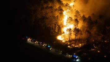 Gato reaparece tras 17 años perdido en incendio de Gironda