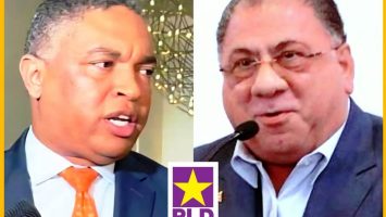 Fadul afirma los partidos no pueden esperar hasta 2027 para fortalecer su organización