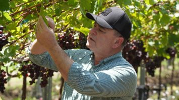 Producción agropecuaria alcanzó niveles históricos en 2025, según Agricultura