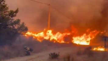 Incendio en España deja 12 muertos y 19 desaparecidos