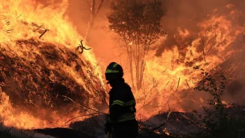 Portugal combate cinco grandes incendios en un escenario «extremadamente complejo»