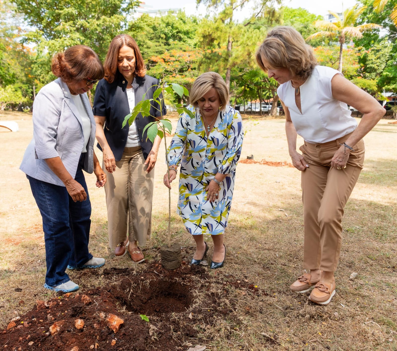 Personalidades al sembrar árboles (Foto Alcaldía del Distrito Nacional)